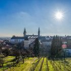 Bamberger Dom und Umgebung