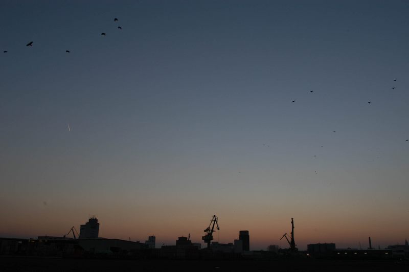 Bamberger Hafen am frühen Morgen