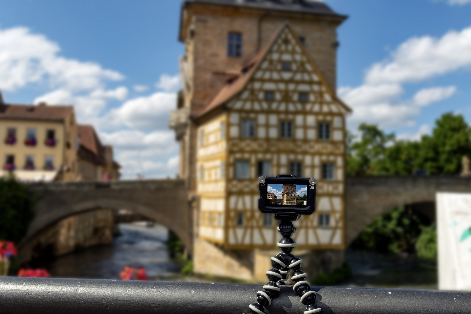 Bamberg.Juli_2021-7983