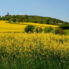 Bambergs höchster Hügel im Frühling