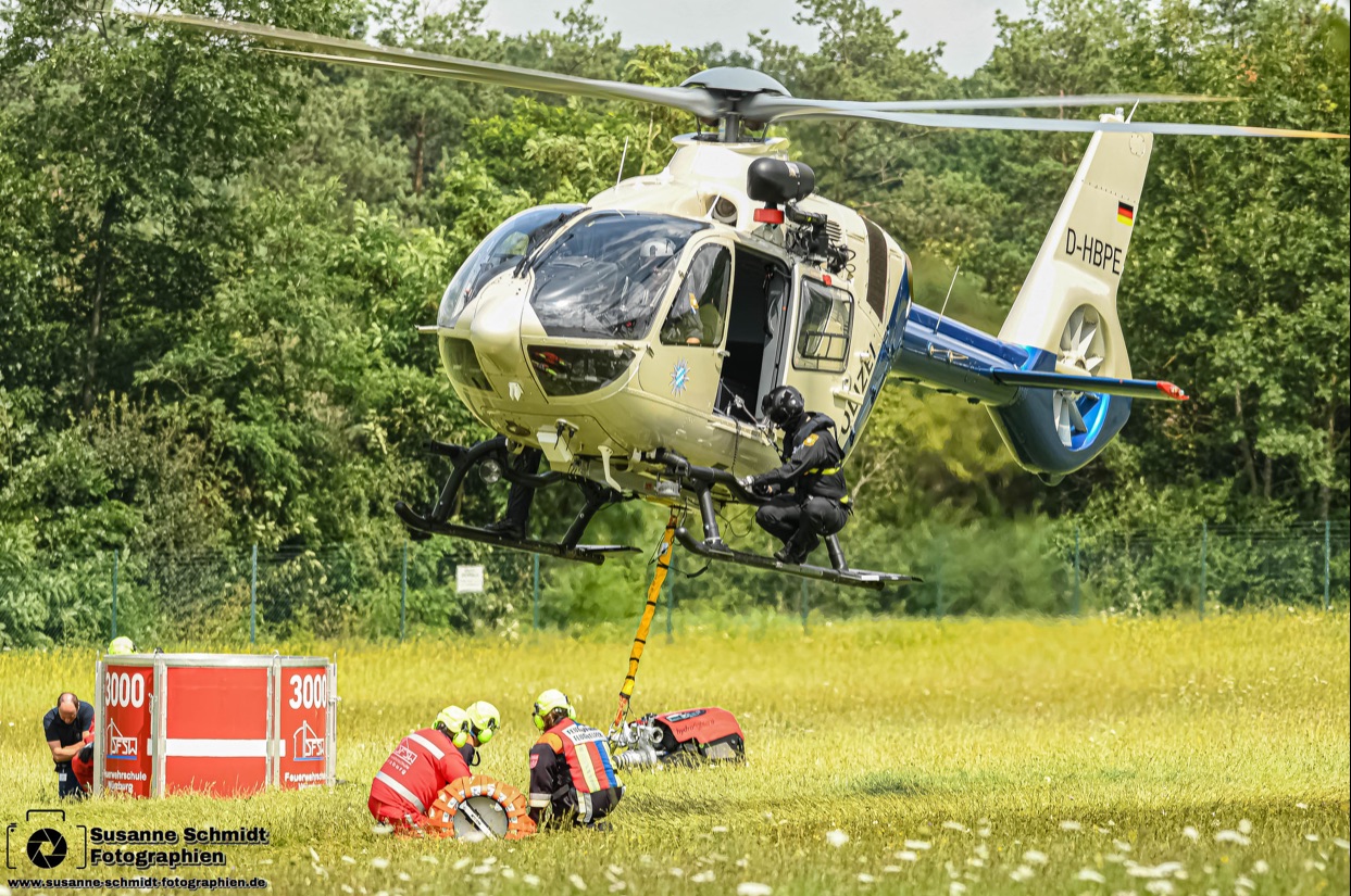 Bambi Bucket