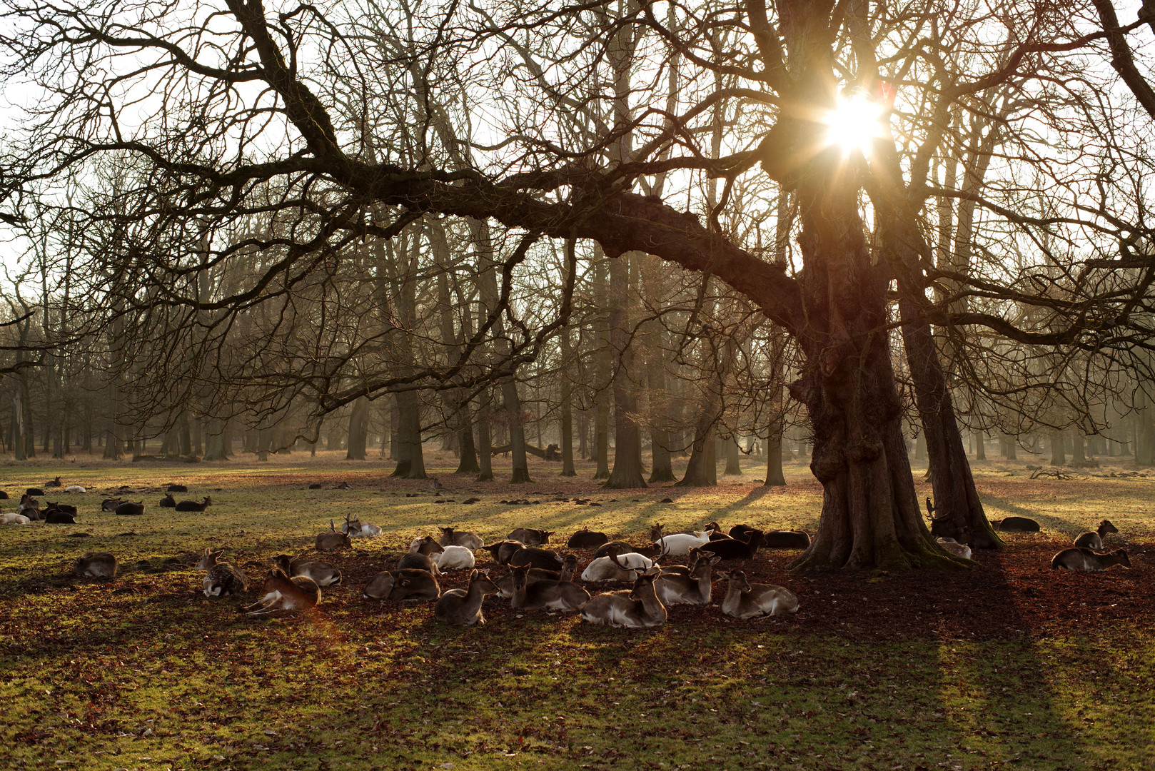 Bambi-Kitsch mit Altglas