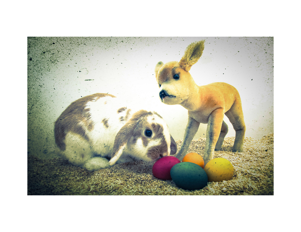 Bambi & Klopfer wünschen frohe Ostern!