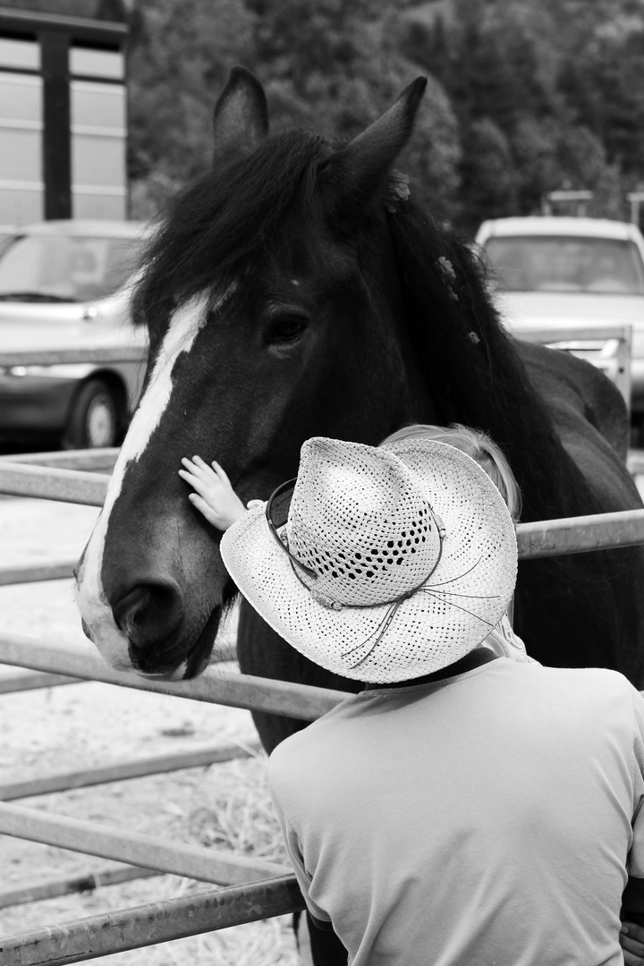 bambina che accarezza il cavallo