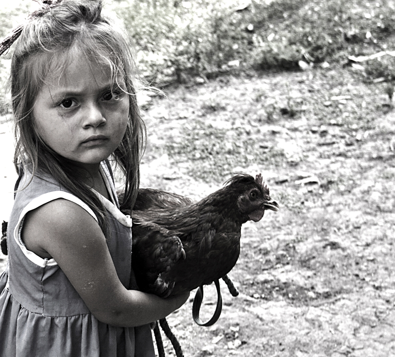 Bambina con gallina