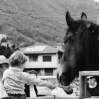 Bambina e cavallo