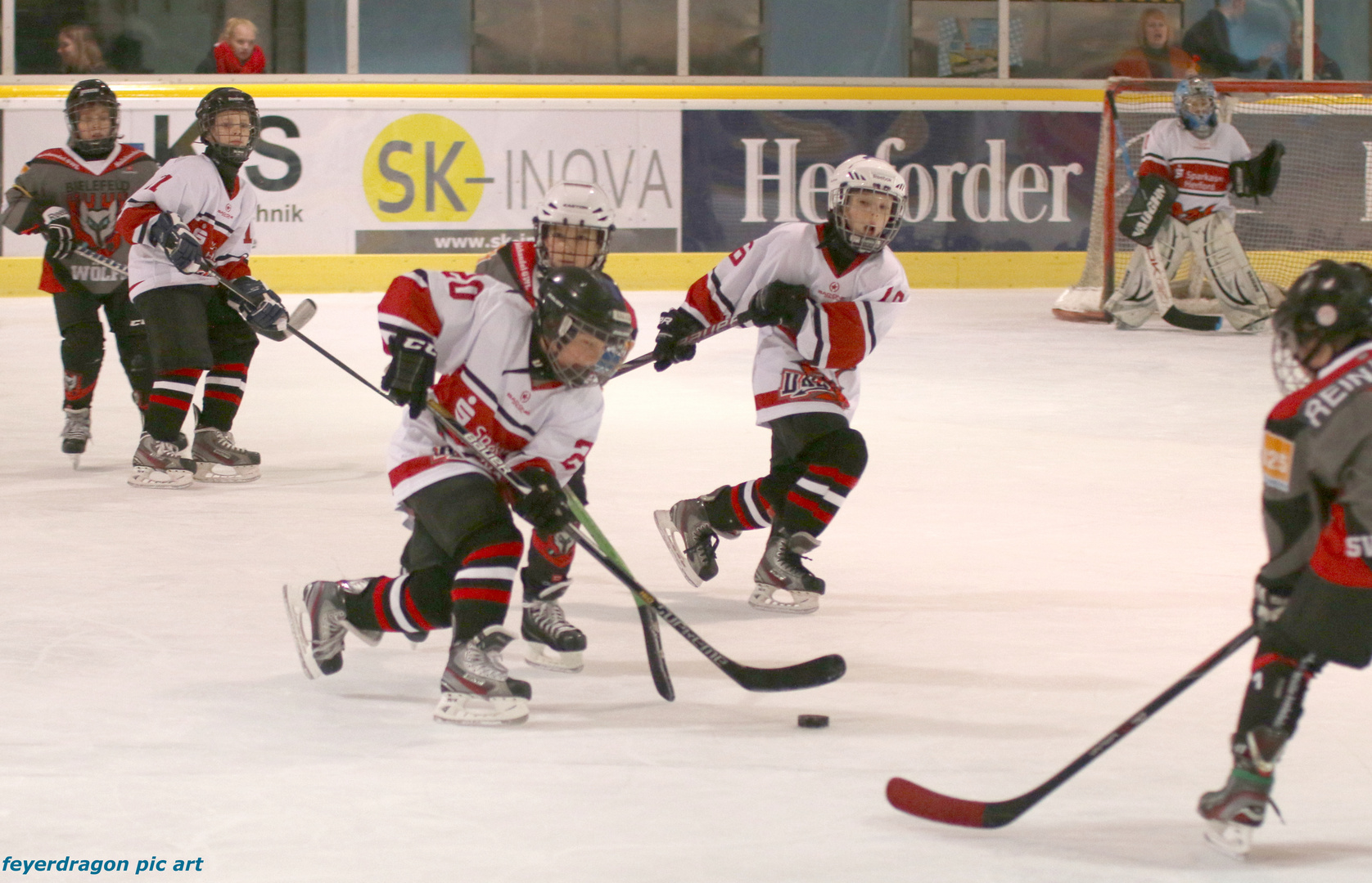 bambini eishockey 