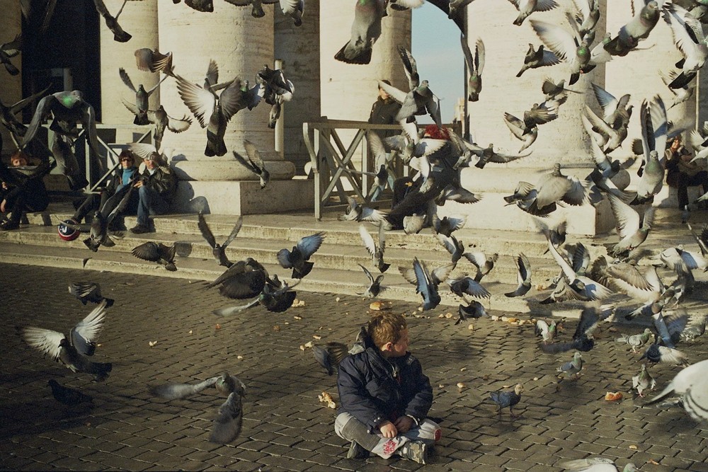 Bambino e colombi a San Pietro