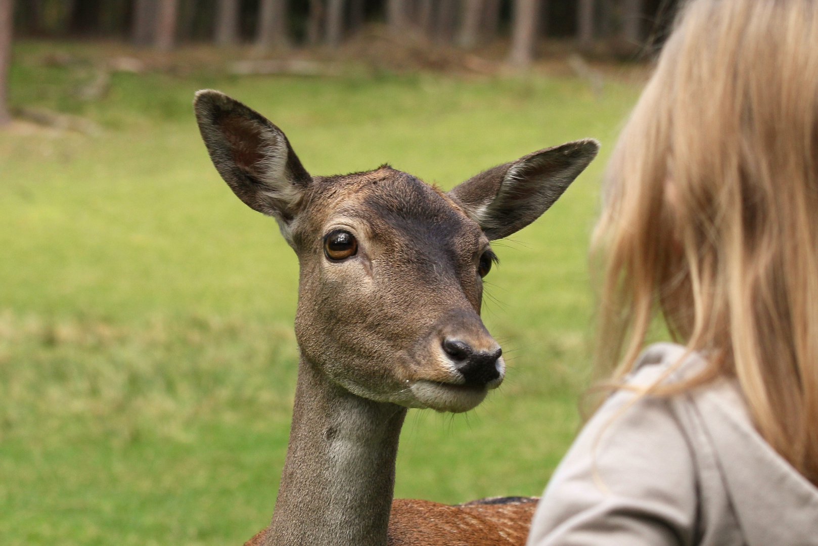 Bambi:süüüss