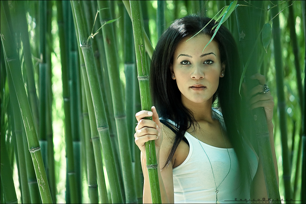 ...BamBoo