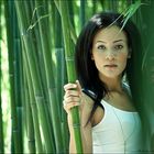 ...BamBoo