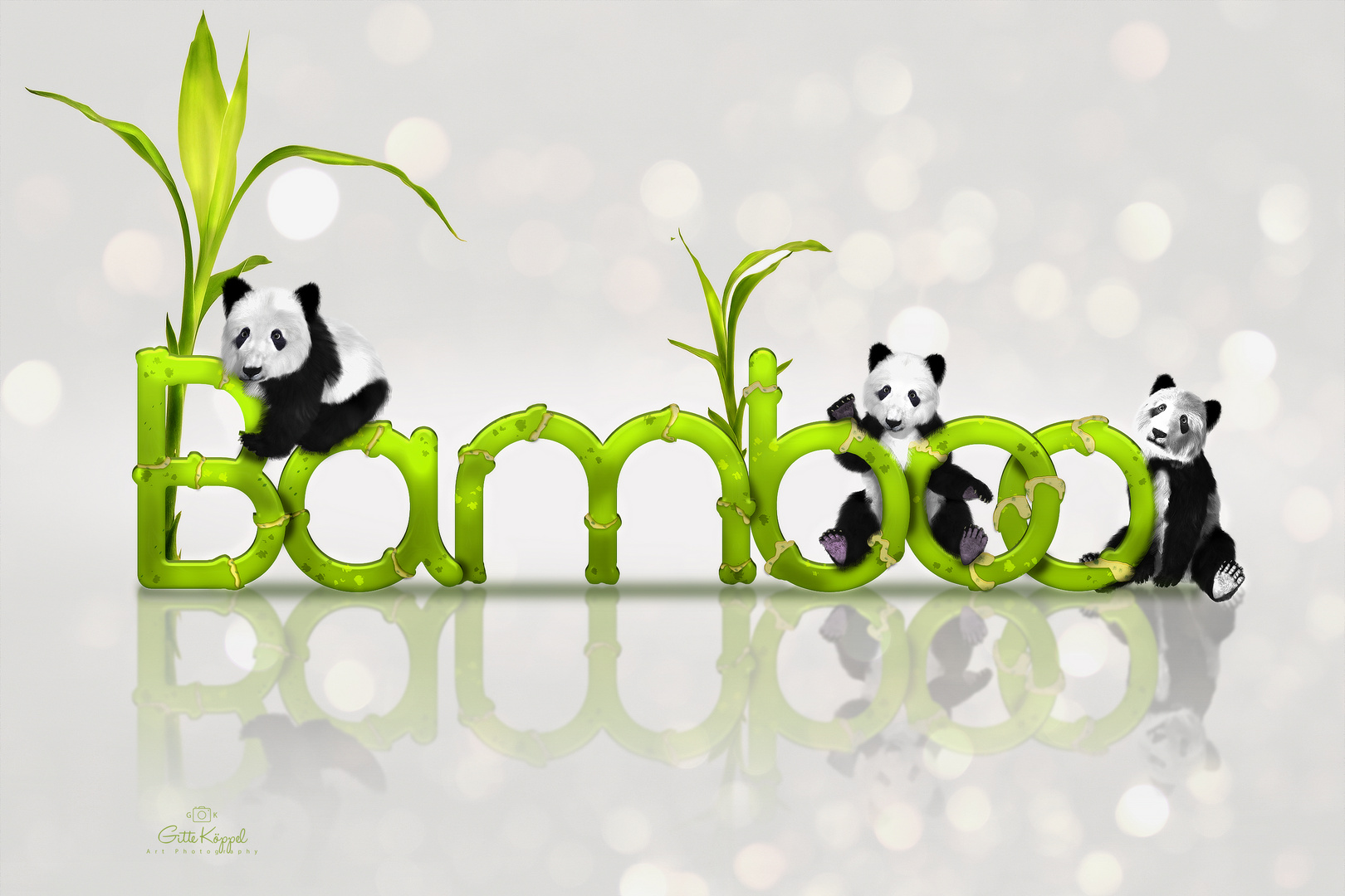 Bamboo