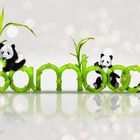 Bamboo