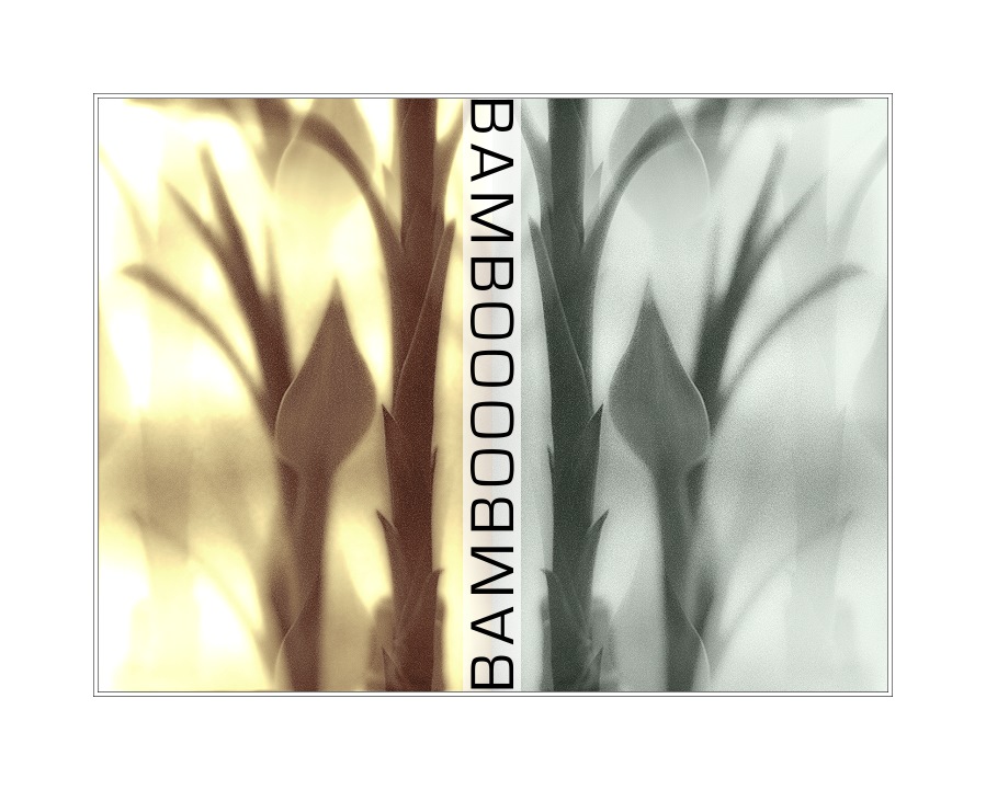 "Bamboo"