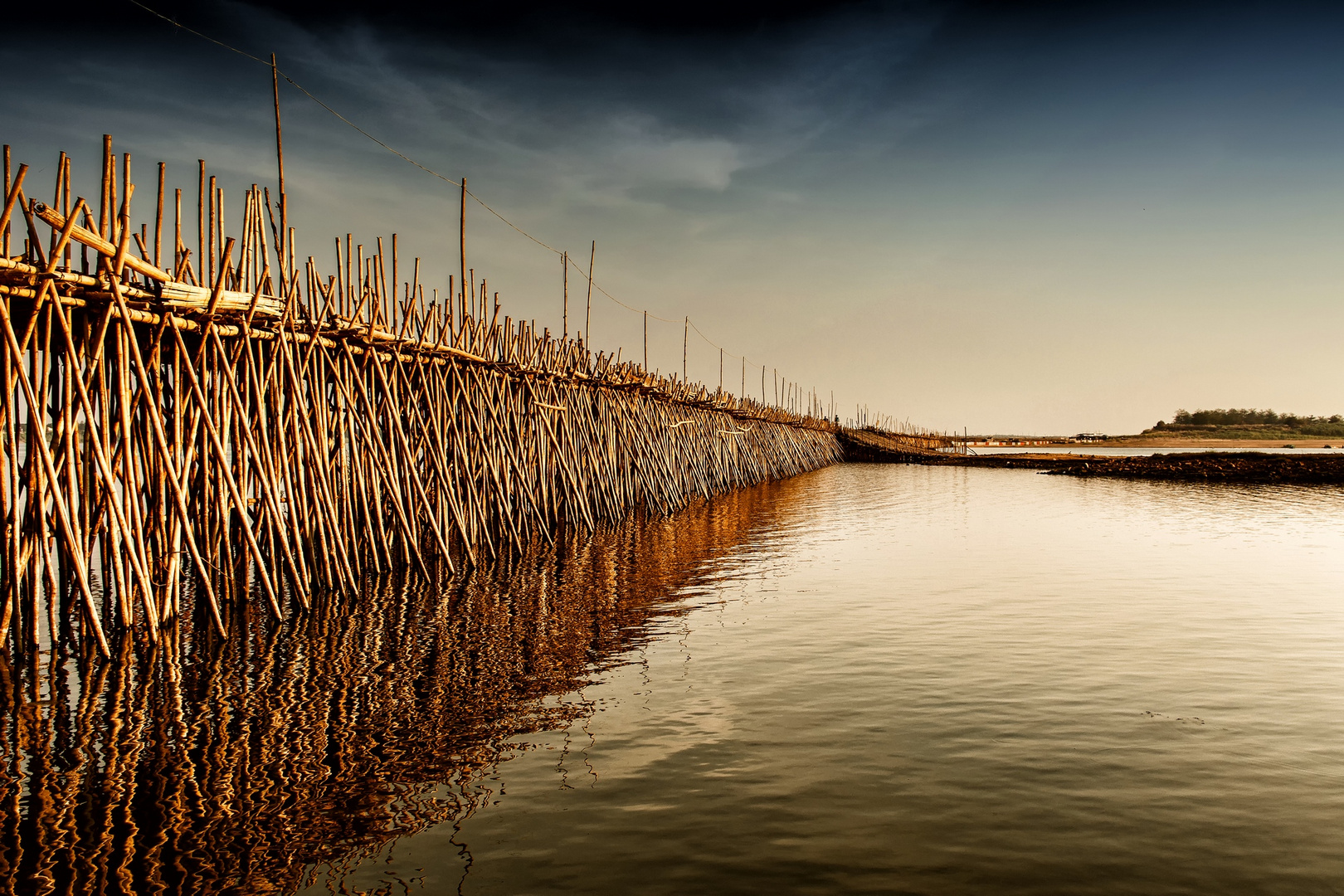 Bamboo Bridge