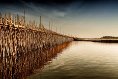 Bamboo Bridge