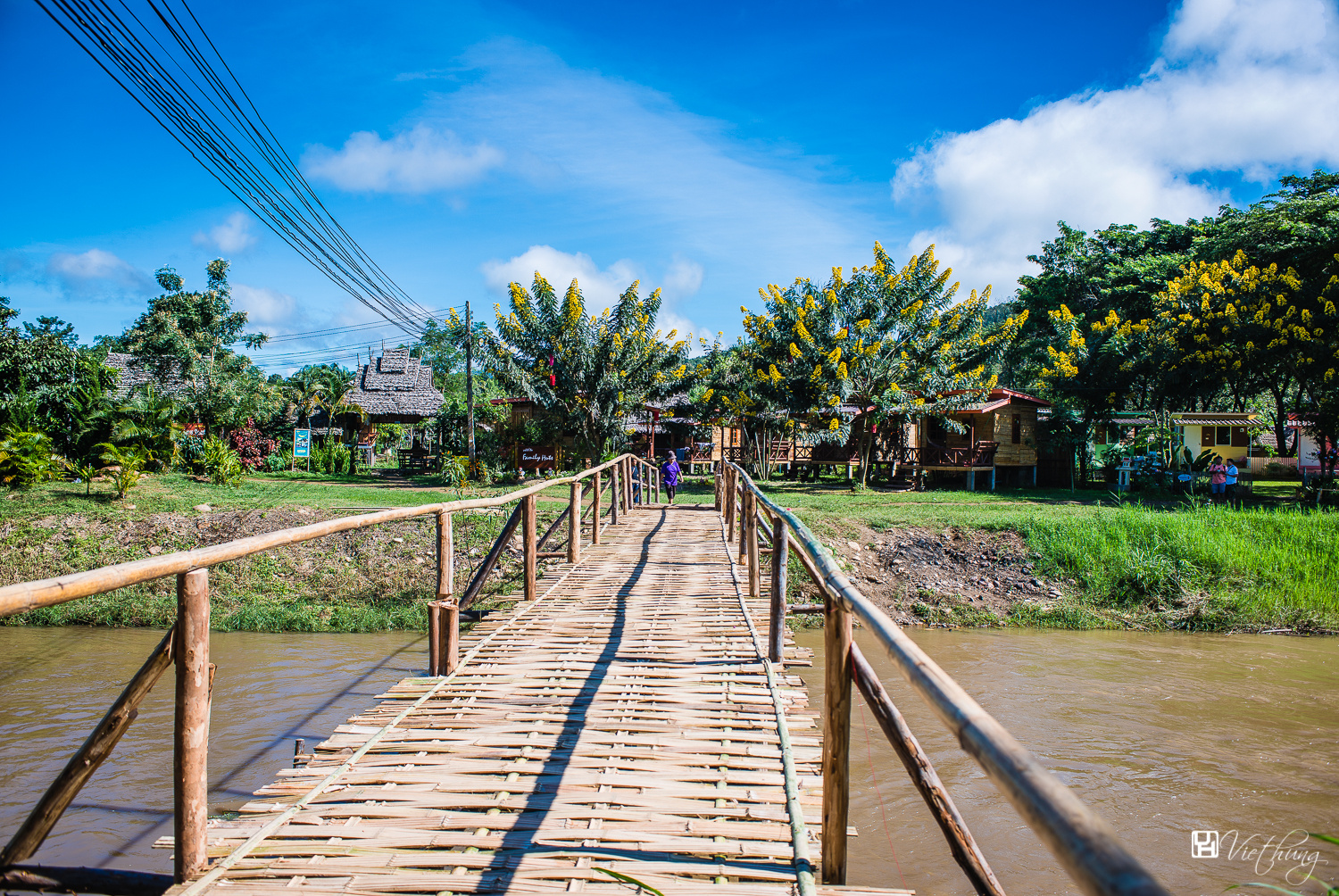 Bamboo bridge