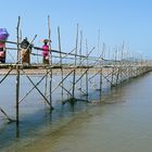 Bamboo bridge near Bhamo