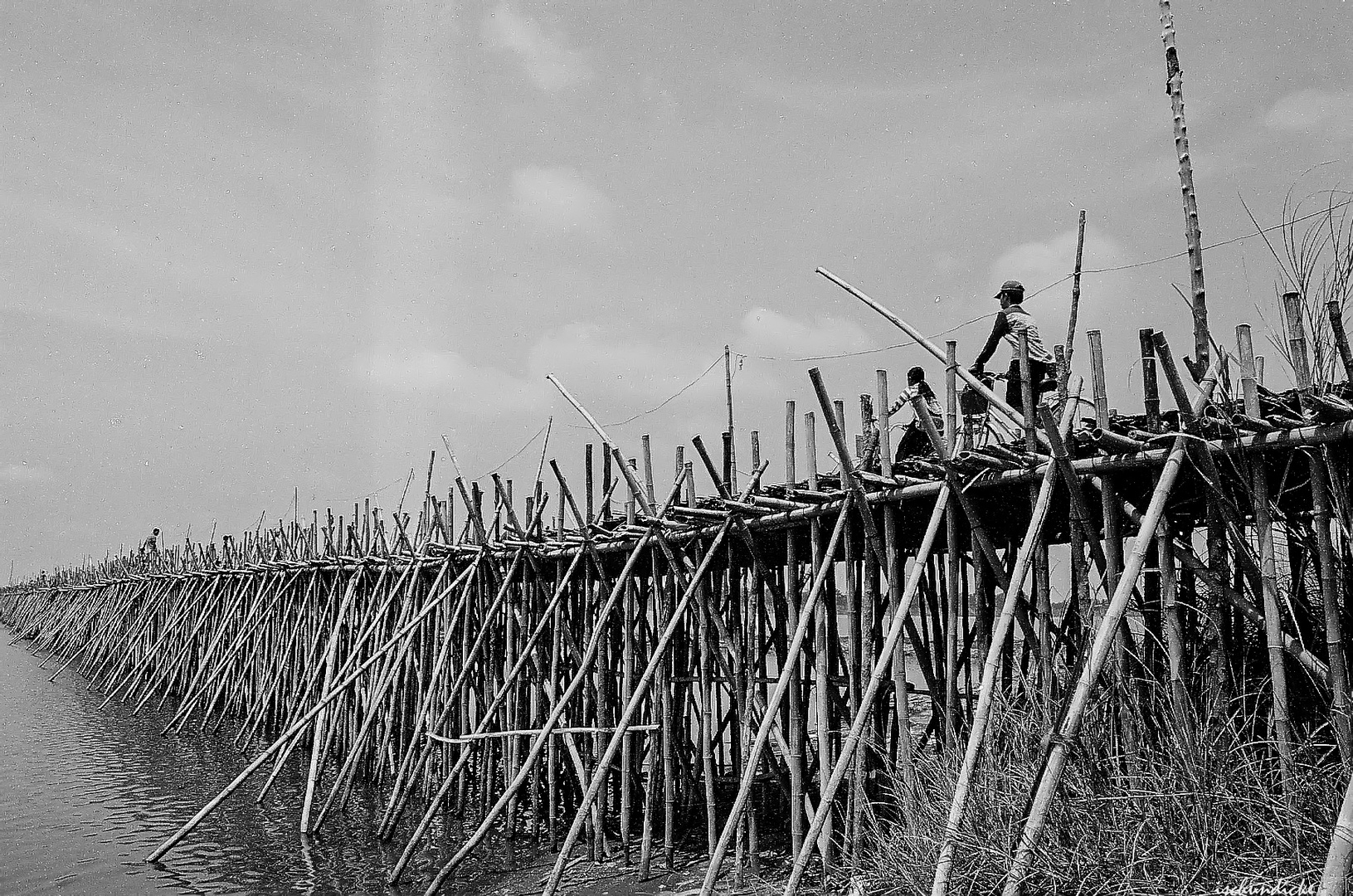 Bamboo bridge of Kompong Chham