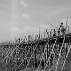 Bamboo bridge of Kompong Chham