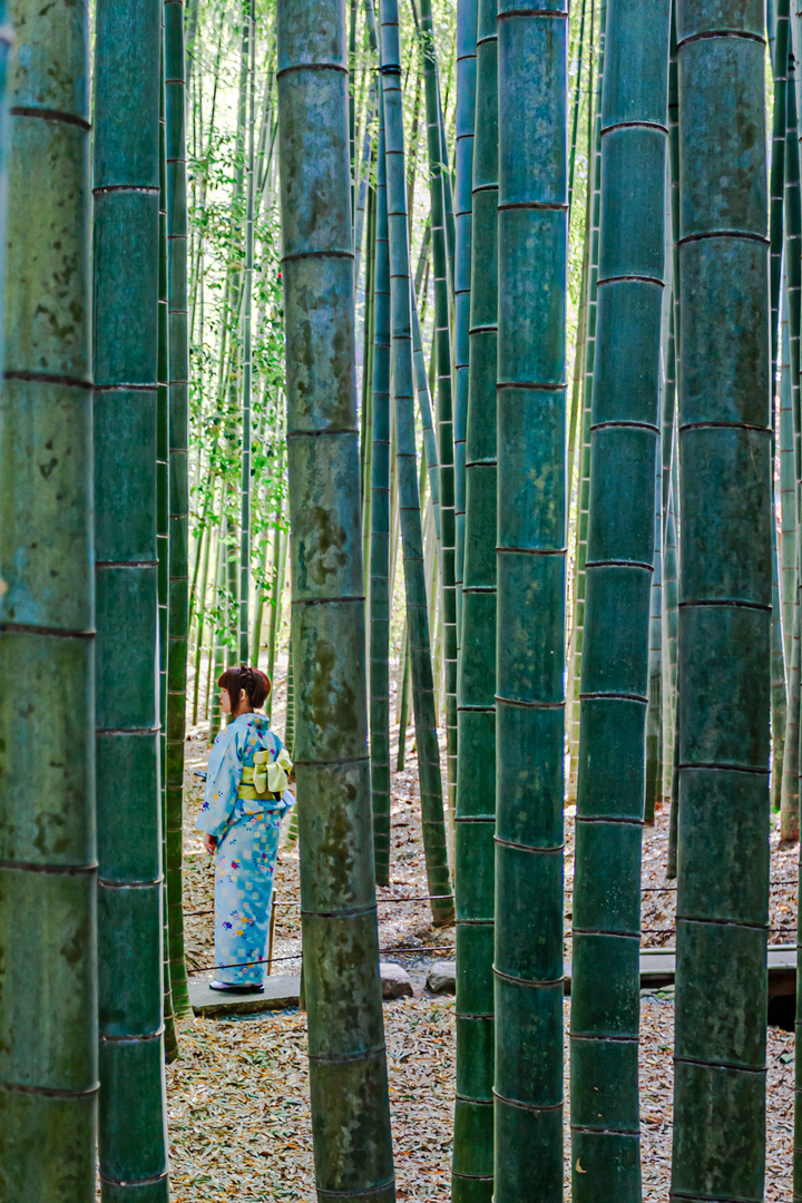 Bamboo girl