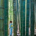 Bamboo girl