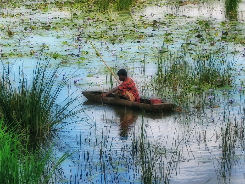 Bamboo Il pescatore