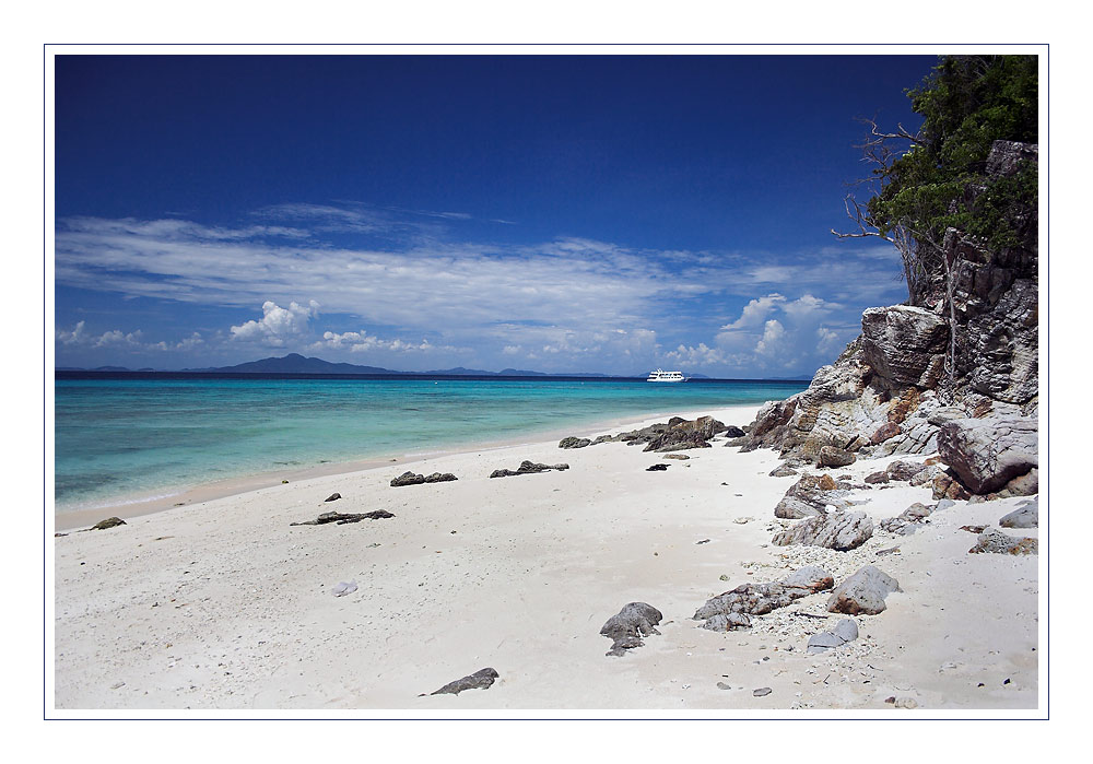 Bamboo Island 2006