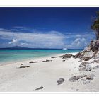 Bamboo Island 2006