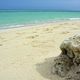 Bamboo Island