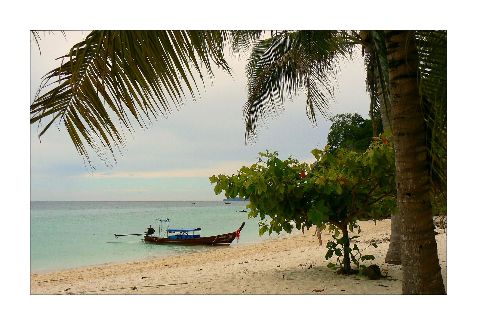 - Bamboo Island -