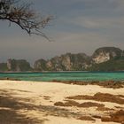 Bamboo Island