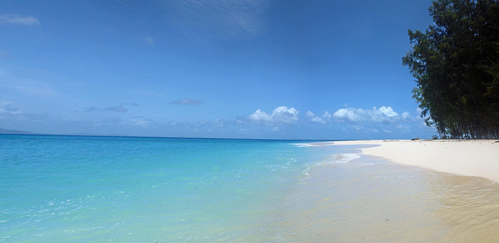 Bamboo Island I