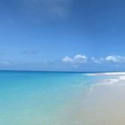 Bamboo Island I