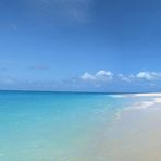 Bamboo Island I