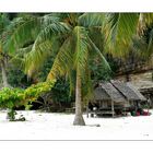 - Bamboo Island II -