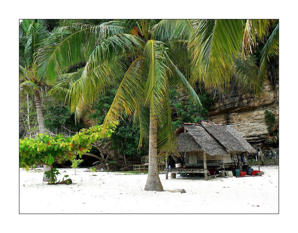 - Bamboo Island II -