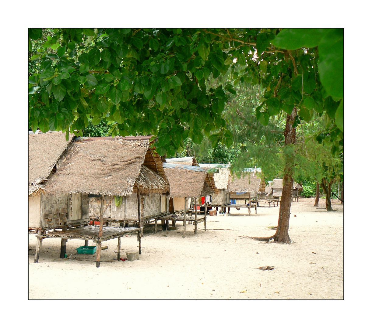 - Bamboo Island III -