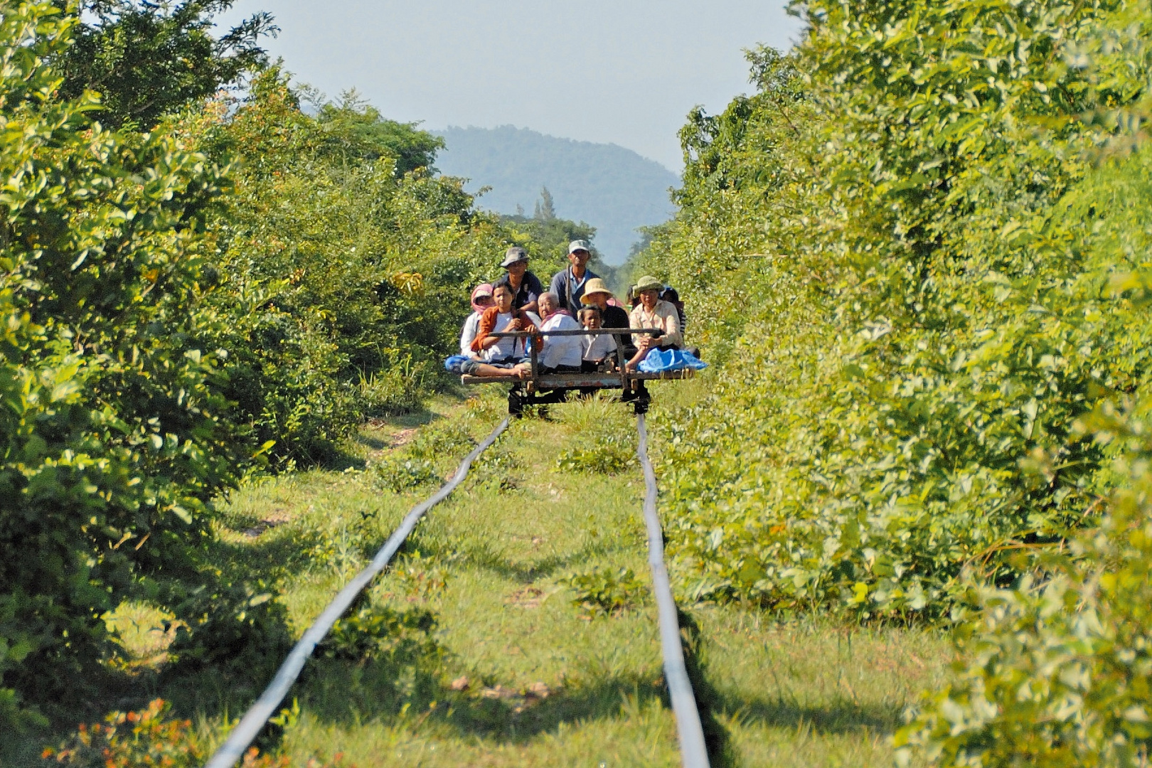 bamboo train 01