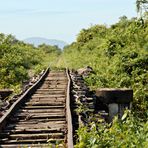 bamboo train 02