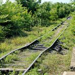 bamboo train 03