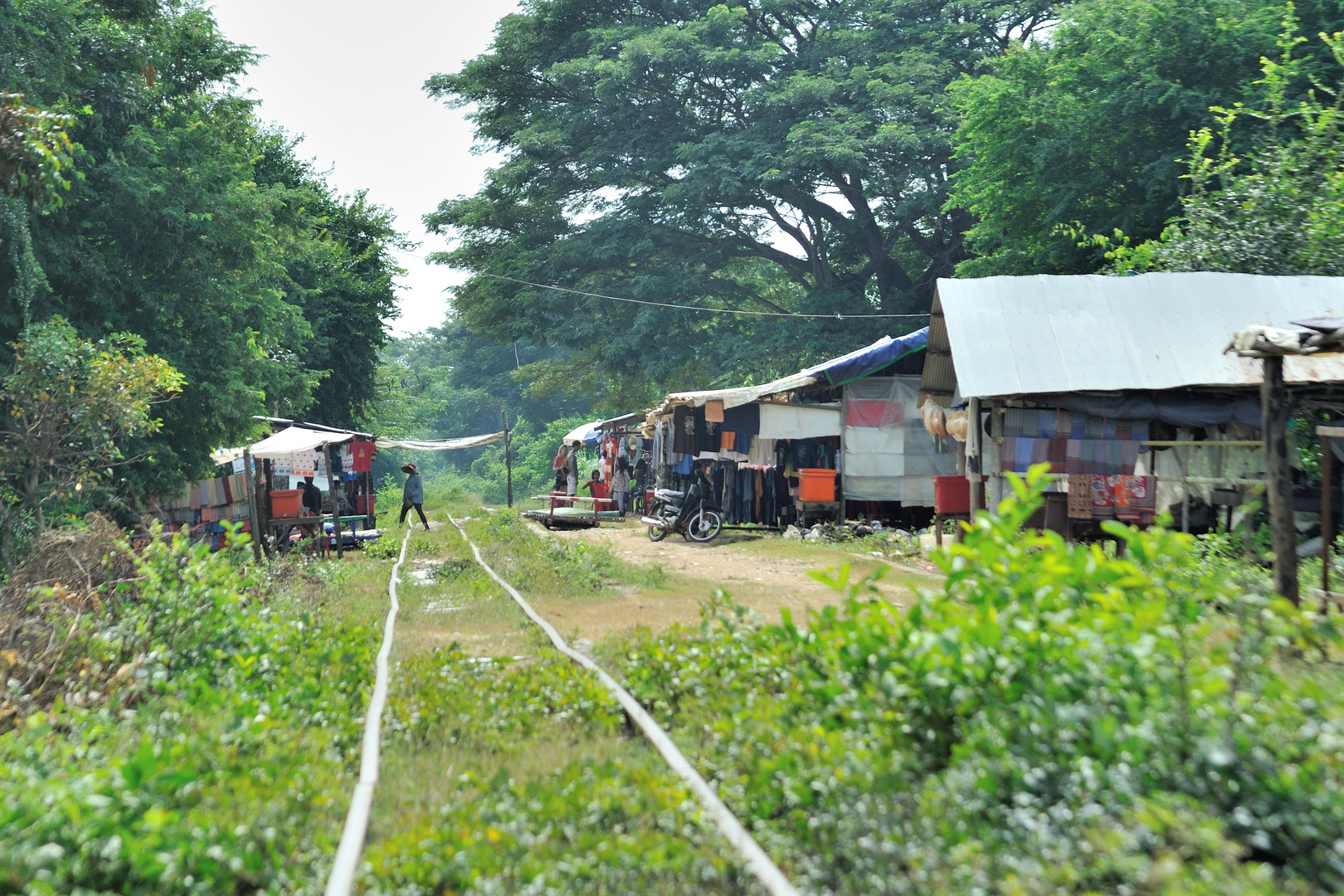 Bamboo Train 05