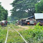 Bamboo Train 05