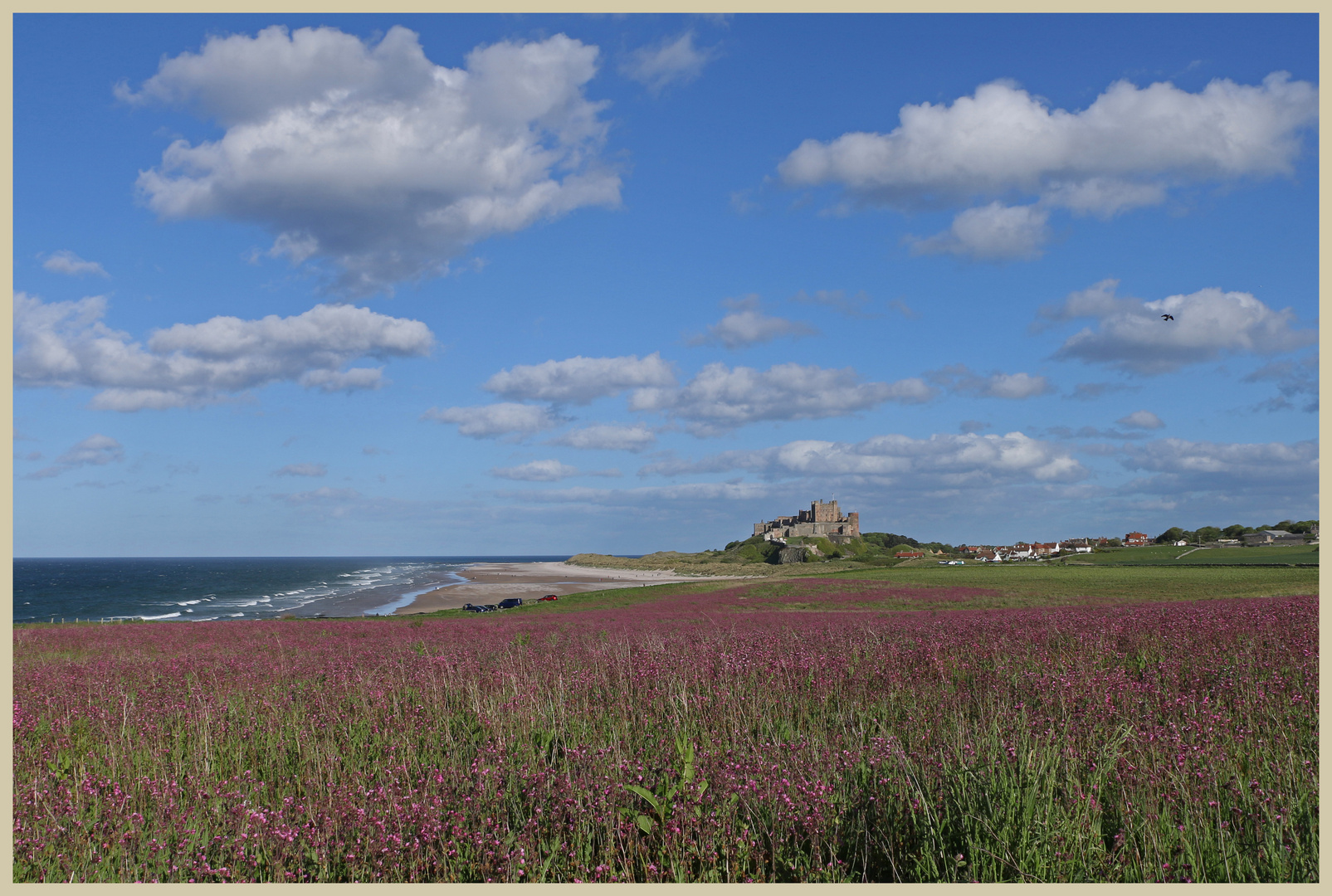 bamburgh 6