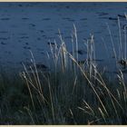 Bamburgh beach 8