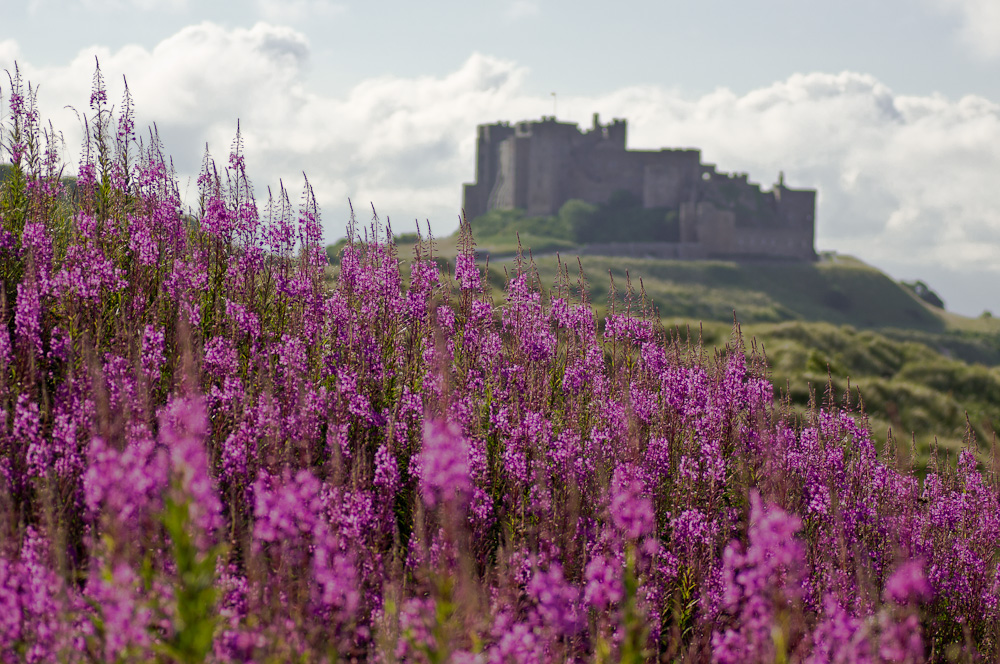 Bamburgh Castle (I)