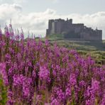 Bamburgh Castle (I)