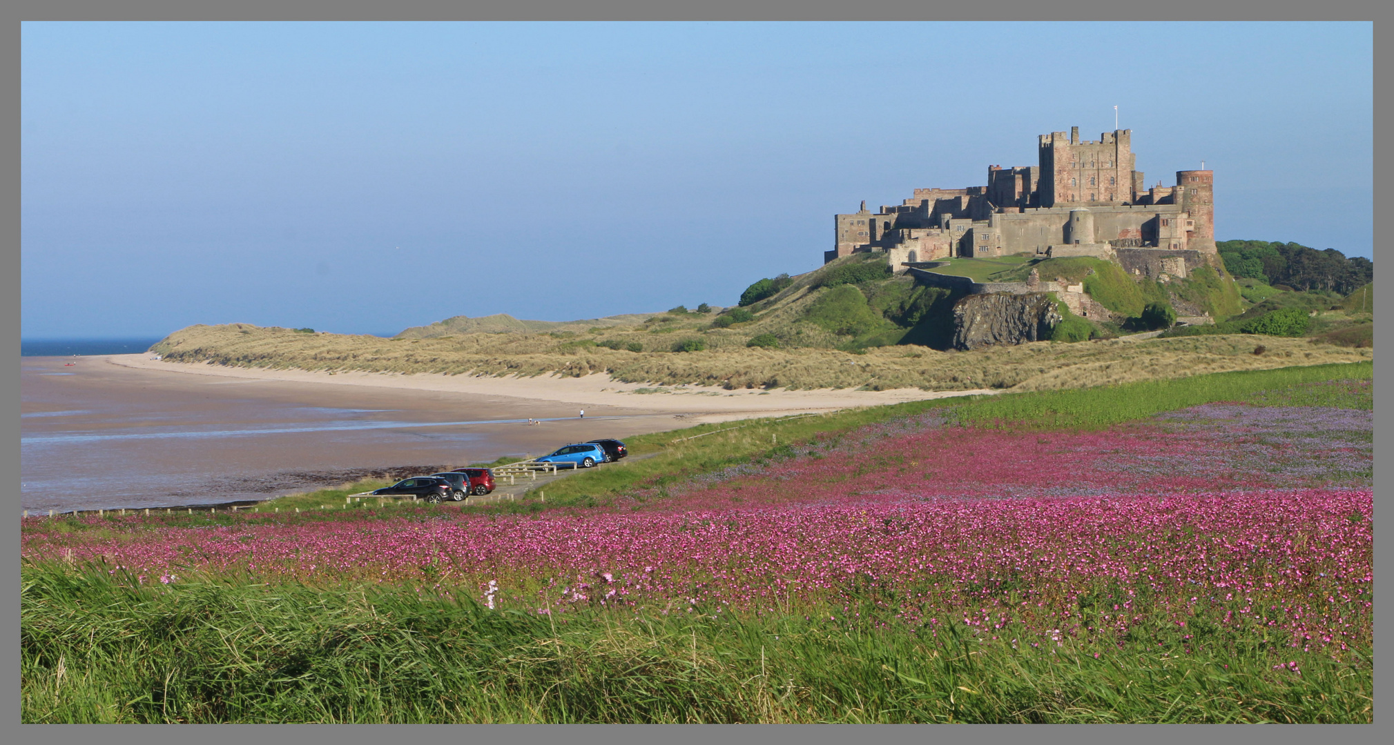 Bamburgh castle Northumberland from the north 5