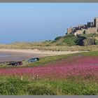Bamburgh castle Northumberland from the north 5