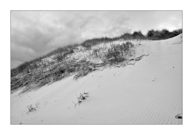 Bamburgh Dunes, Northumberland